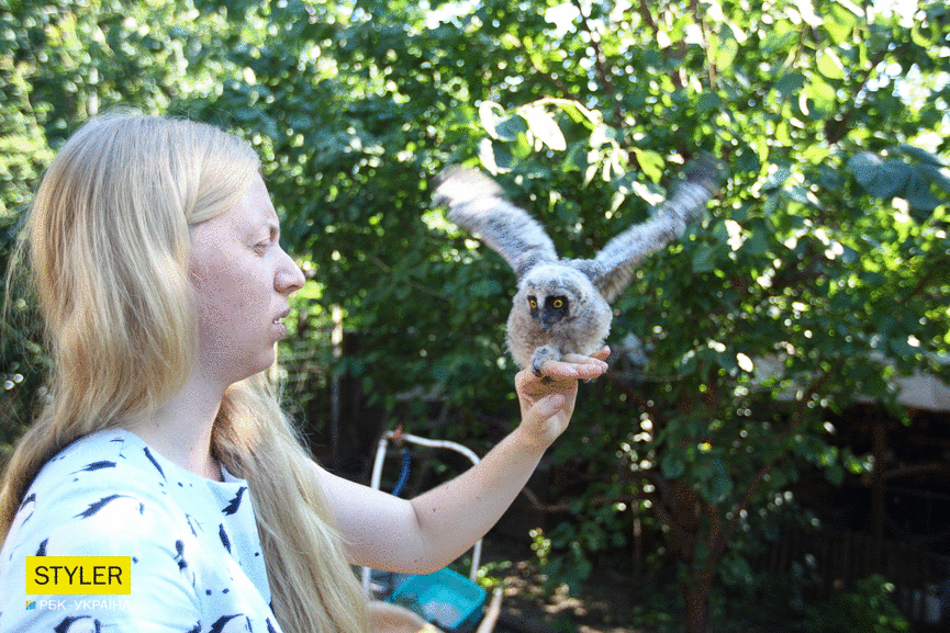 &quot;Били об стіну, нацьковували собак&quot;: як волонтер із Запоріжжя виходжує диких тварин і чому любить їх більше людей